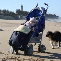 Les Aussies de Fanzie