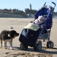 Les Aussies de Fanzie