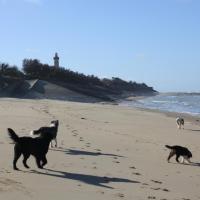 Les Aussies de Fanzie