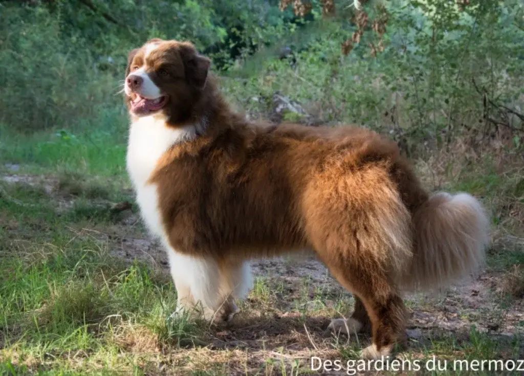 1e019f93 5c89 9794 cda0 ccf52fb4eeef min